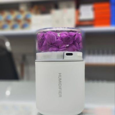 دستگاه رطوبت ساز و خوش بو کننده هوا